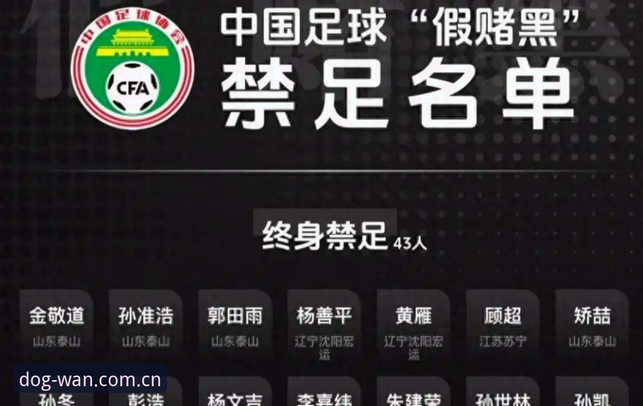 中国足球反腐风暴：第三批禁足名单全面解析与行业生态深度反思